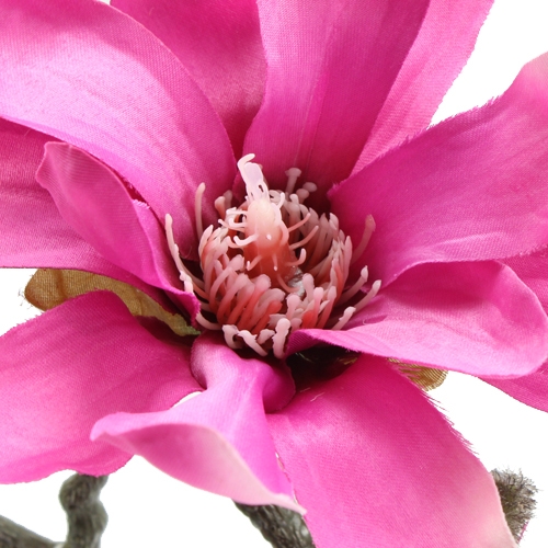 Floristik24 Magnolia gren 45cm 3stk