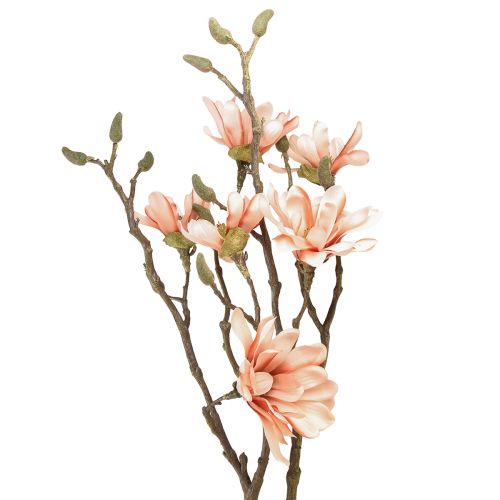 Floristik24 Magnoliakvist med 6 blomster Magnolia kunstlaks 84cm
