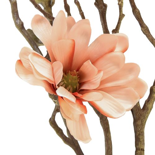 Floristik24 Magnoliakvist med 6 blomster Magnolia kunstlaks 84cm