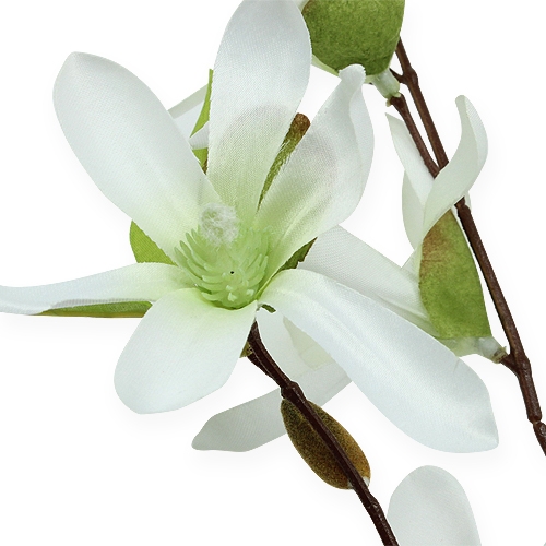 gjenstander Magnolia gren lysegrønn 91cm