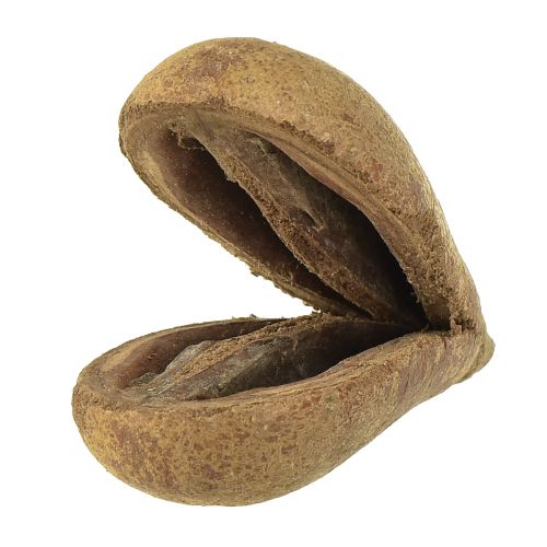 Floristik24 Mike Fruit Natural Materials Bagon Fruit Natural 8cm 50 stk