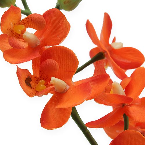 Floristik24 Mini orkide Real Touch Orange 35cm