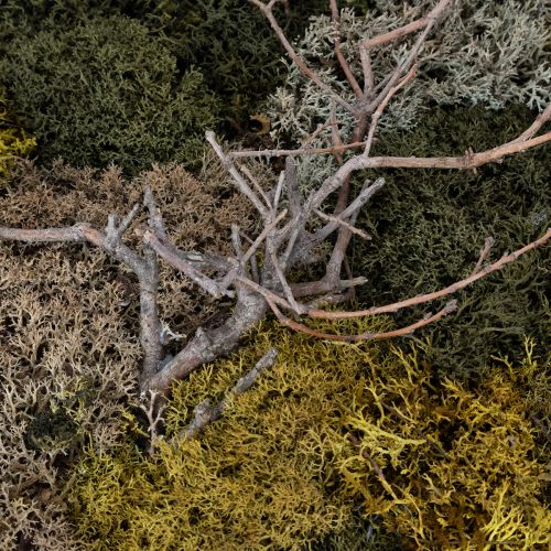 gjenstander Mosebilde, ekte konservert mose og kvister, naturlig, 60×40 cm