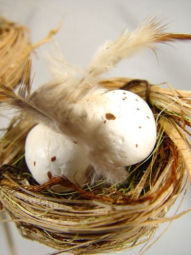 Floristik24 Fuglerede med egg på pinne 6cm 6stk