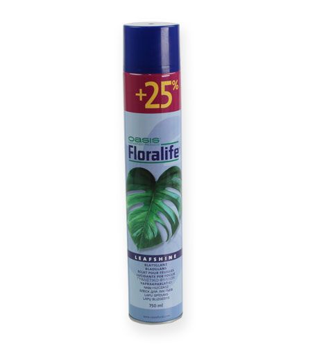 Floristik24 Leaf Shine Spray 750ml
