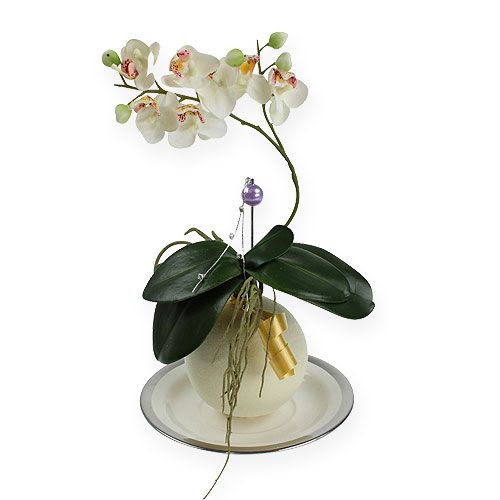 Floristik24 Blomster skum baller krem 9cm 4stk