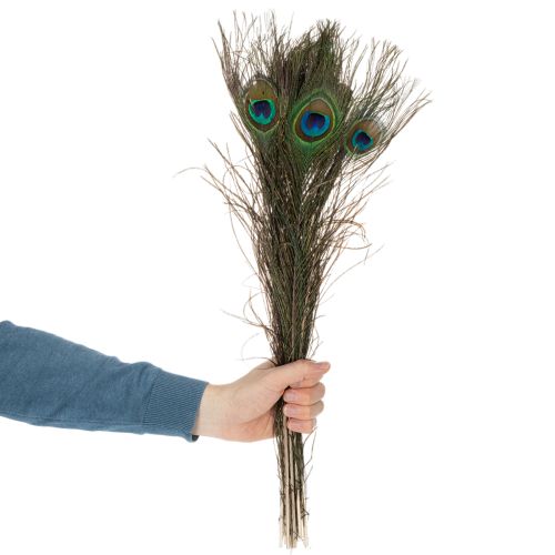 gjenstander Påfuglfjær, ekte fuglefjær til håndverk og dekorasjon, 55 cm, 10 stk.