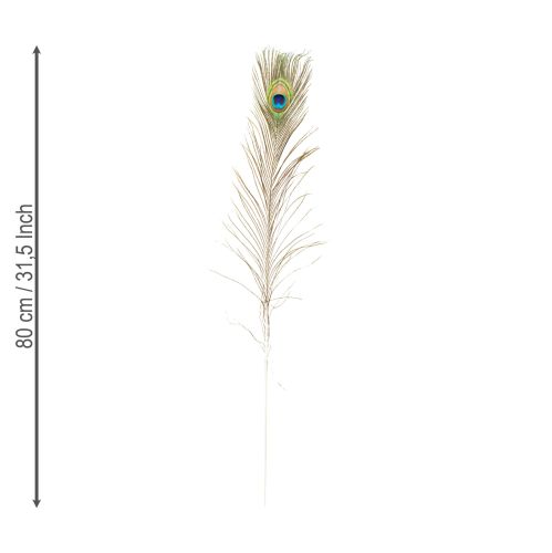 gjenstander Påfuglfjærdekorasjon, ekte fuglefjær, lange 75-85 cm, 8 stk.