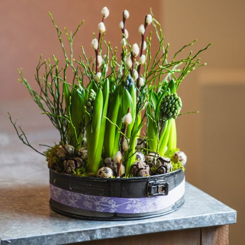 Floristik24 Plantekar, dekorativ stekepanne, springform for planting, metalldekor Ø24cm H7,5cm