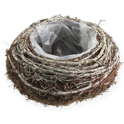 Floristik24 Planteskål Ø18cm