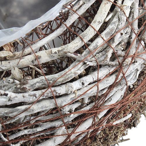 Floristik24 Planteskål Ø18cm