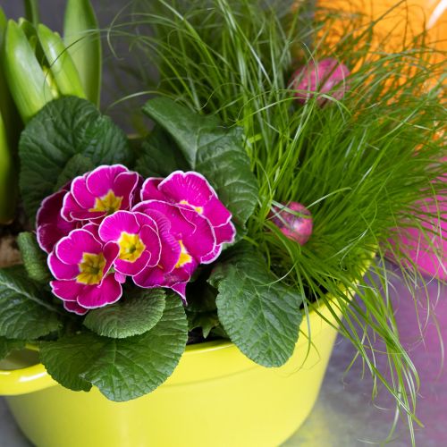 gjenstander Metallplateplantekasse, vårdekorasjon til stuen, 25 cm, 3 stk.