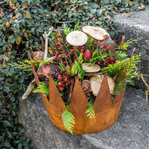 Floristik24 Plantekrukke rust dekorativ skål metall dekorativ krone vintage Ø30cm