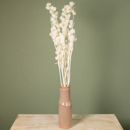 gjenstander Physalis tørket bleket lanterneblomsterdekorasjon Nicandra 75-80 cm 100 g