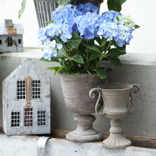 Floristik24 Koppskål grå Ø11cm H19cm