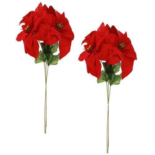 gjenstander Storslått julestjerne - julestjerne i rødt - 46 cm 6 stk 2 bunter