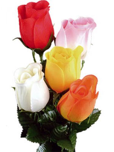 Floristik24 Rose farget 72 stk