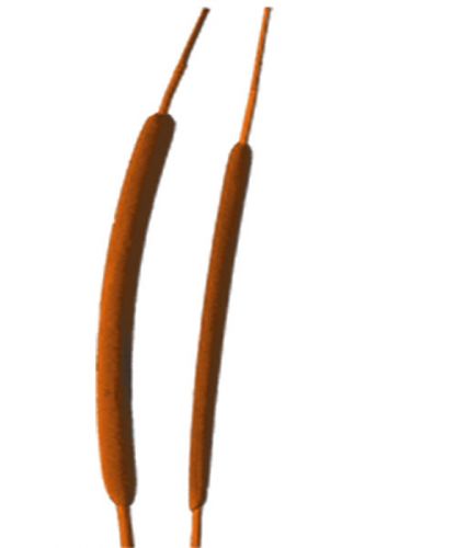 Floristik24 Sivpære minioransje 70 stk