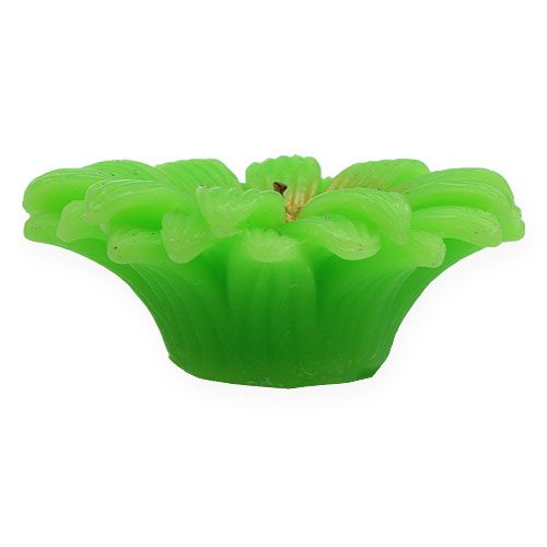 Floristik24 Flytende lys gerbera grønt Ø7,5cm