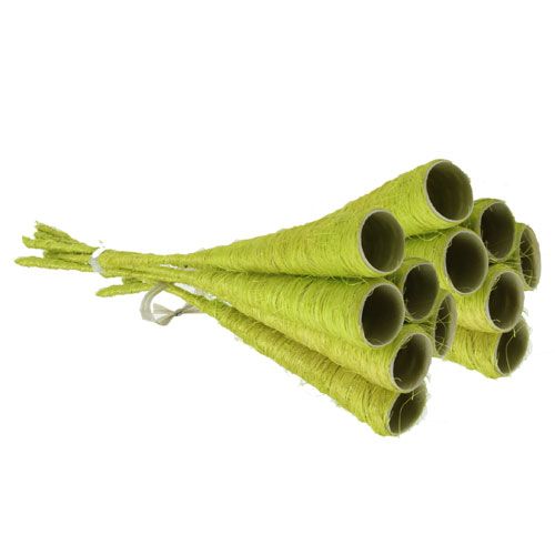 Floristik24 Sisal-trakt lysegrønn Ø3cm L30cm 12stk