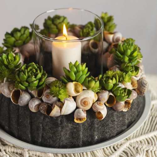 Floristik24 Sukkulent Echeveria Kunstig Grønn Plante Grønn Ø5,5cm 12,5cm