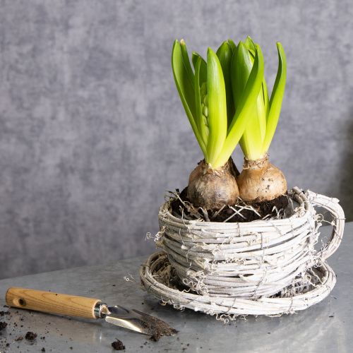 gjenstander Tekopp laget av naturmateriale med rustikk sjarm for eksklusiv innendørsdekorasjon 13 cm