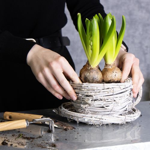 gjenstander Tekopp laget av naturmateriale med rustikk sjarm for eksklusiv innendørsdekorasjon 13 cm