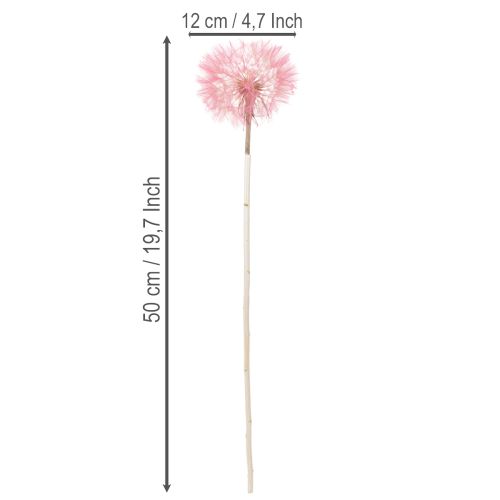 gjenstander Tørkede blomster gigantisk løvetanndekorasjon elegant hjemmetilbehør 12 cm 4 stk