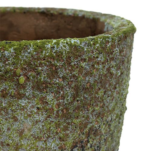 Floristik24 Planter med mose Ø16cm H16cm 1p