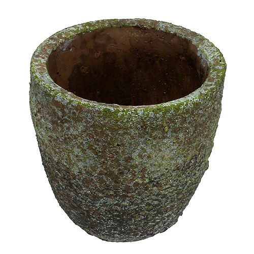Floristik24 Planter med mose Ø16cm H16cm 1p