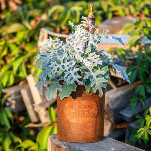 Floristik24 Plantekar patina dekorativt metall med kran H25/37/43cm sett med 3 stk