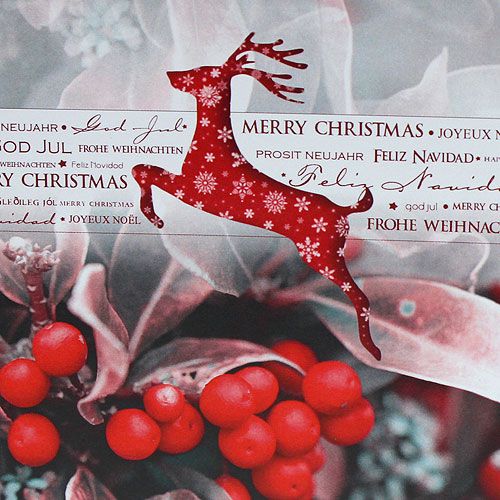 Floristik24 Julekort 12,5x12,5cm 6stk