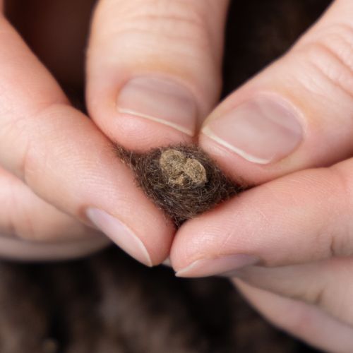 gjenstander Fluffy Mirabell ullsnor, brun, 25m dekorativt bånd for blomsterdekorasjon og håndverk