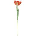 Floristik24 Kunstig blomster papegøye tulipan kunsttulipan oransje 69cm