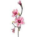 Floristik24 Kunstig blomst magnolia gren magnolia kunst rosa 59cm