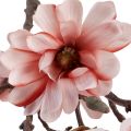 Floristik24 Magnolia grein magnolia kunstlaks 58cm