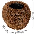 Dekorativ blomsterkasse med kongler, naturlig utseende, 27 cm. Rund konglepotte, naturbrun, laget av kongler, 27 cm x 22 cm. | Floristik24.no