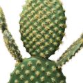 Floristik24 Dekorativ kaktus kunstig potteplante piggete pære 64cm
