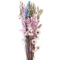 Floristik24 Tørket blomsterbukett halmblomster Phalaris korn 58cm