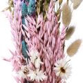 Floristik24 Tørket blomsterbukett halmblomster Phalaris korn 58cm