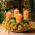 Achillea 500g naturlig | Floristik24.no