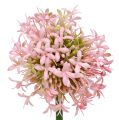 Floristik24 Allium kunstig rosa 51cm