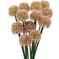 Floristik24 Kunstig blomst allium rosa 38cm kunstig prydløk silkeblomst i haug 12stk