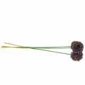 Floristik24 Prydløk Allium kunstlilla 70cm 3stk