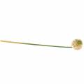 Floristik24 Prydløk Allium kunstig rosa / grønn Ø8cm 58cm