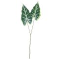 Floristik24 Alocasia Elephant Ear Arrow Blad Kunstige Planter Grønn 55cm