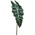 Floristik24 Kunstig pilblad kunstig plante alocasia deco green 74cm