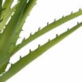 Aloe Vera kunstgrønn 26cm