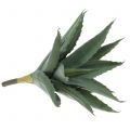 Floristik24 Aloe gren kunstgrønn 47cm