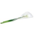 Floristik24 Amaryllis blomst hvit L 73cm 2stk